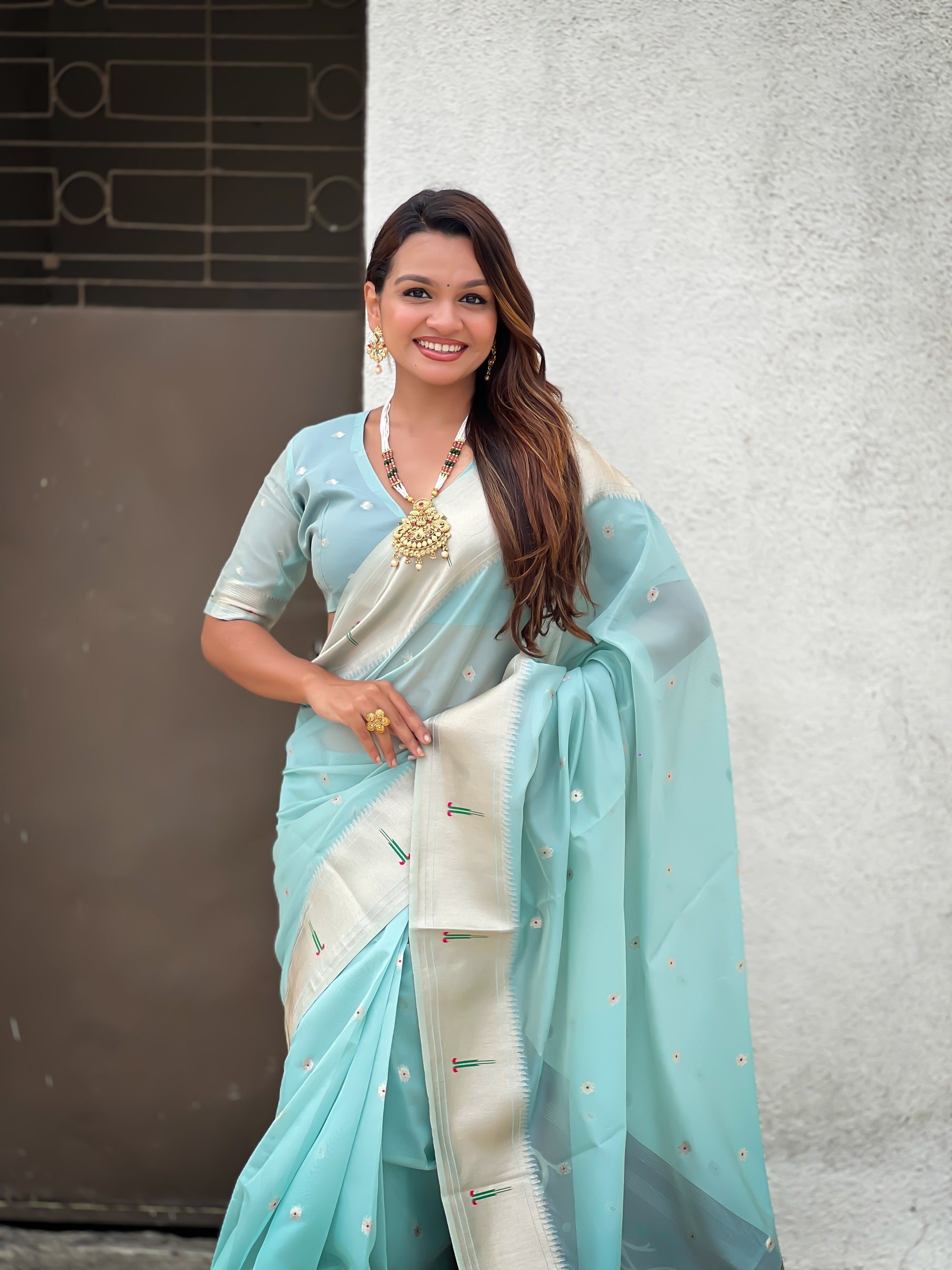 Organza Sarees