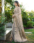 Grey Organza Silk with Bandhani Weaves Saree