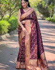 Dark Maroon Banarasi Jaal Katan Silk Rich Zari Woven Saree