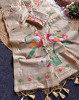 Chickoo Traditional Soft Chanderi Cotton American Parrot Pattern Saree
