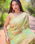 Pista Green Meenakari Floral Jaal Zari Woven Organza Saree