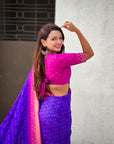 Violet Ikkat Patola Silk Zari Work Meenakari Saree