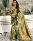 Dusty Pista Green Soft Silk Zari Woven Zig Zag Pattern Saree