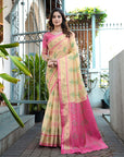 Chickoo Organza Silk with Contrast Patola Pattern Saree