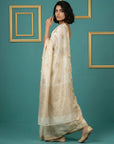 Chickoo Tussar Silk Gold Zari Woven Embroidery Saree