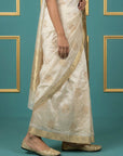Chickoo Tussar Silk Gold Zari Woven Embroidery Saree