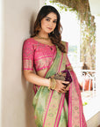 Pista Green Organza Silk with Contrast Patola Pattern Saree