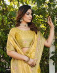 Light Yellow Organza Silk with Bandhani Weaves Saree