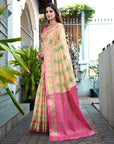 Chickoo Organza Silk with Contrast Patola Pattern Saree