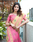 Chickoo Organza Silk with Contrast Patola Pattern Saree