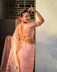 Light Pink Organza Silk Paithani Fusion Rajhans Border and Pallu