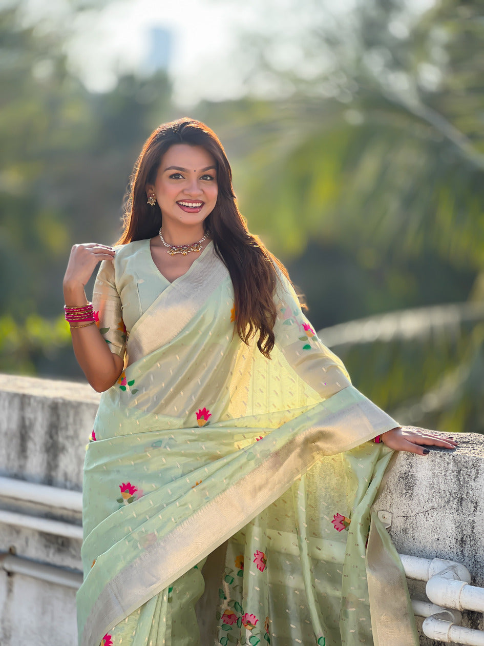 Pista Green Organza Silk Jamdani Pattern Zari Woven Saree