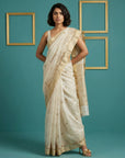 Chickoo Tussar Silk Zari Woven Cutwork Embroidery Saree