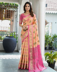 Peach Organza Silk with Contrast Patola Pattern Saree