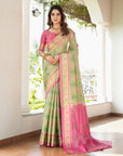 Pista Green Organza Silk with Contrast Patola Pattern Saree