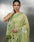 Pista Green Resham Soft Muga Cotton Birds Pattern Saree