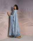 Blue Soft Raspberry Silk with Sequin Embroidery Work Saree