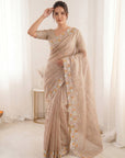 Chickoo Premium Tissue Banarasi Saree with Floral Embroidery Work Saree
